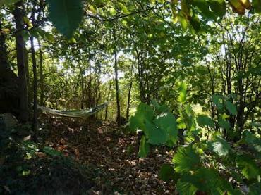 web hosting free www.ufastweb.com